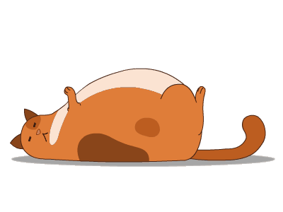 fat cat gif